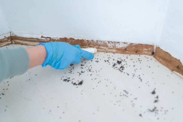 Best Residential Pest Control  in Elkland, PA