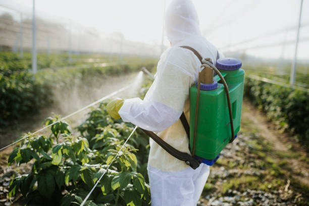 Best Flea Control Services  in Elkland, PA